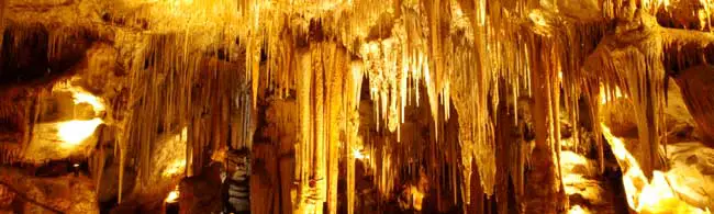 Tantanoola Caves