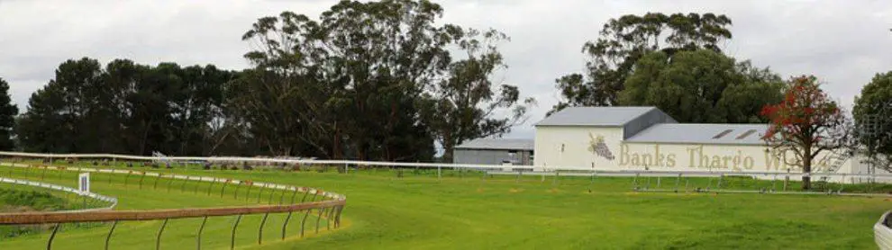 Banks Thargo Wines