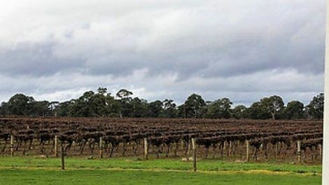 Majella Wines