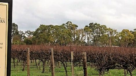 Parker Coonawarra Estate