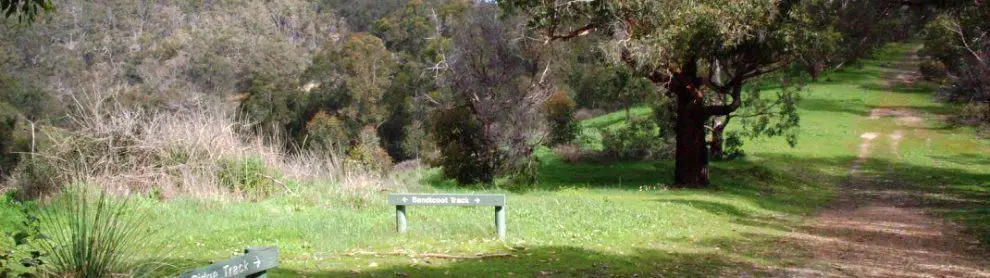 Mount Scott Conservation Park