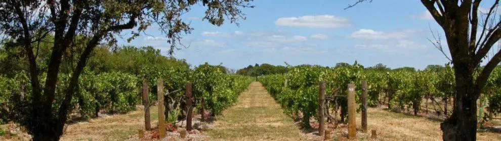 Coonawarra