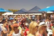 Cape Jaffa Seafood And Wine Festival