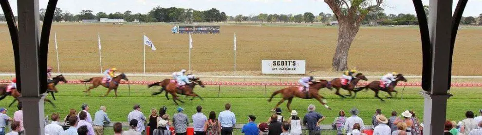 Coonawarra Vignerons Cup Day 2022 Horse Racing Date  Penola