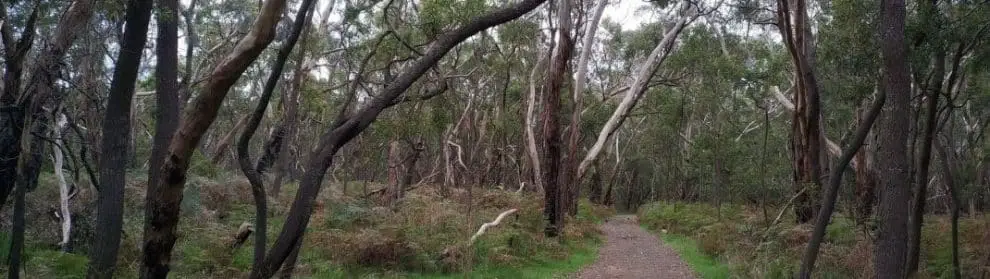 Telford Scrub Conservation Park