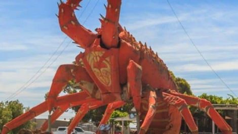 Big Lobster