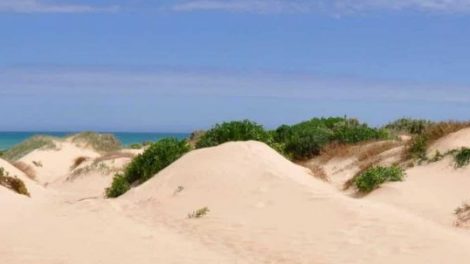 Coorong National Park