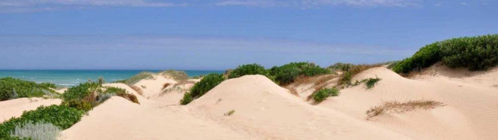 Coorong National Park