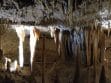 Naracoorte Caves