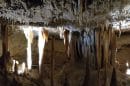 Naracoorte Caves