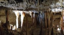 Naracoorte Caves