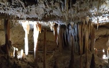 Naracoorte Caves