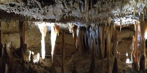 Naracoorte Caves