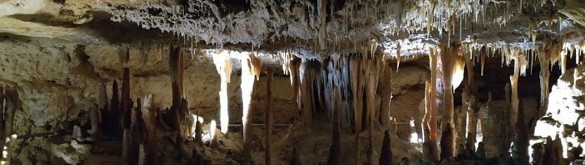 Naracoorte Caves
