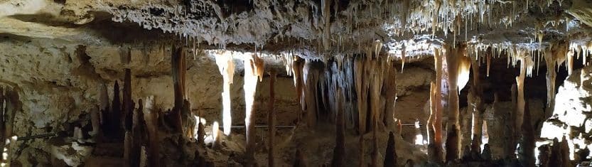 Naracoorte Caves