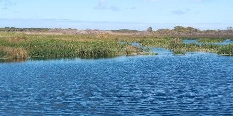 Piccaninnie Ponds