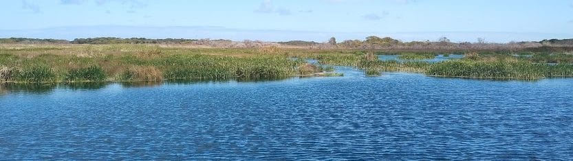 Piccaninnie Ponds