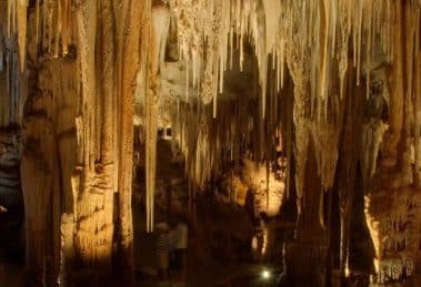 Tantanoola Caves