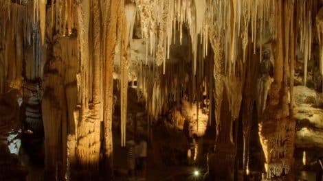 Tantanoola Caves