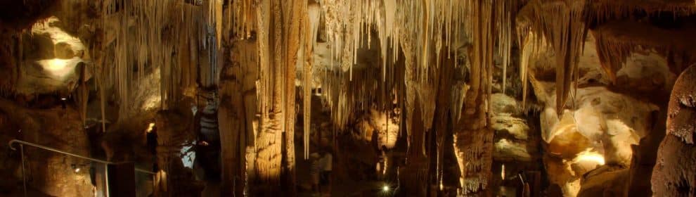 Tantanoola Caves