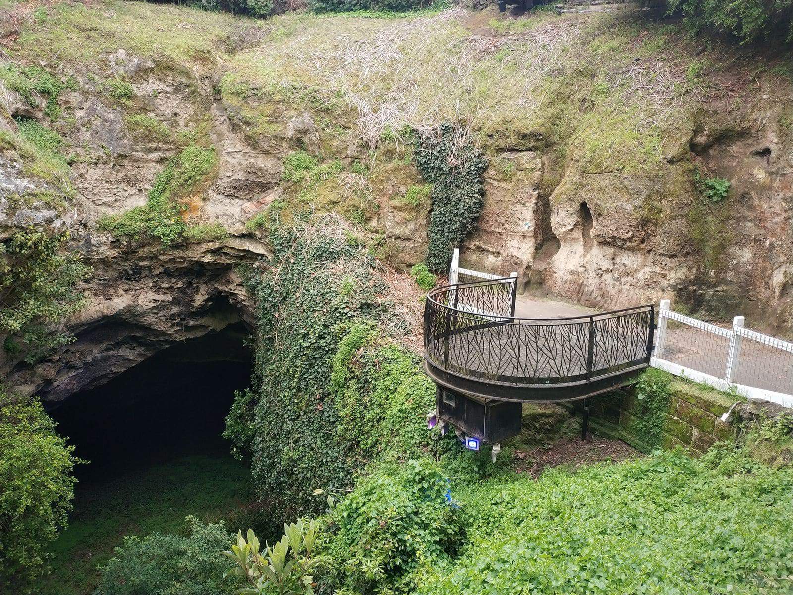 Cave Gardens - Sinkhole Address & Opening Hours, Mount ...