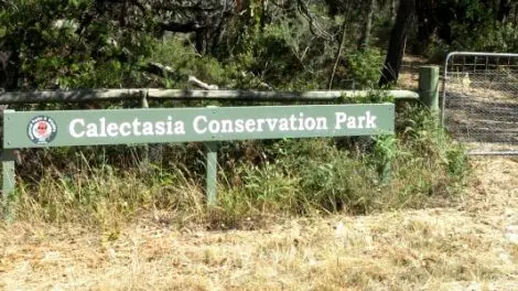 Calectasia Conservation Park