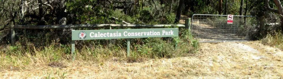 Calectasia Conservation Park