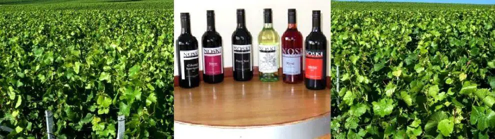 Noski Wines