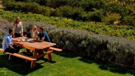 Wehl’s Mount Benson Vineyards