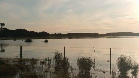 Lake Frome Conservation Park