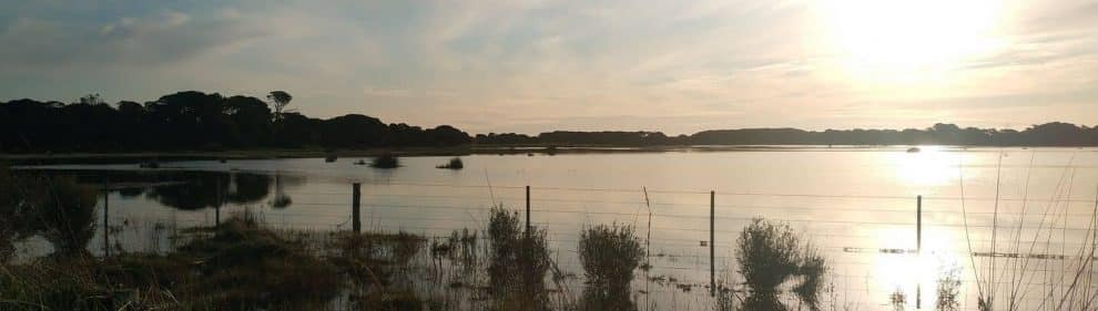 Lake Frome Conservation Park