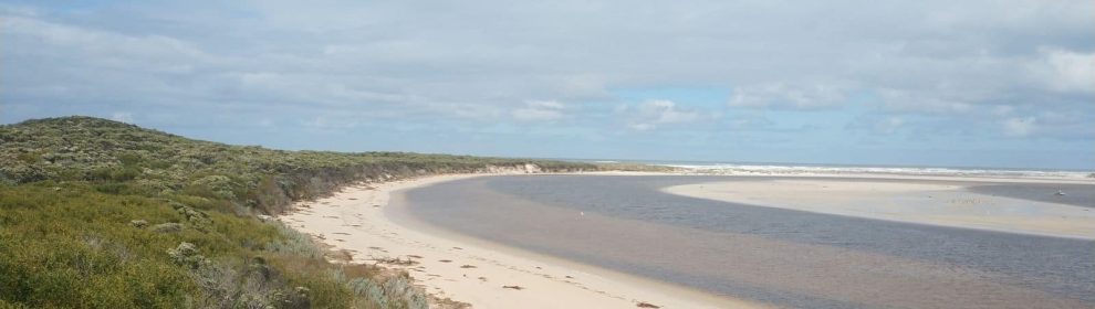 Discovery Bay Estuary Beach 07