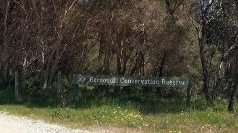 Bernouilli Conservation Reserve