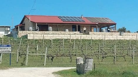 Cape Jaffa Wines