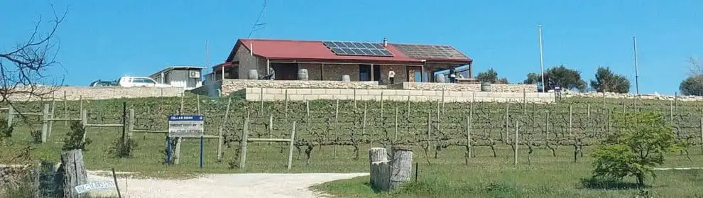 Cape Jaffa Wines