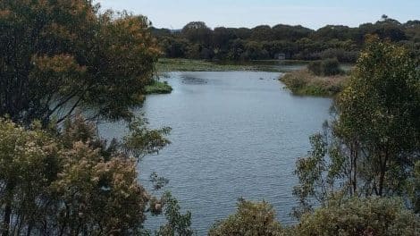 Lake Mcintyre Park