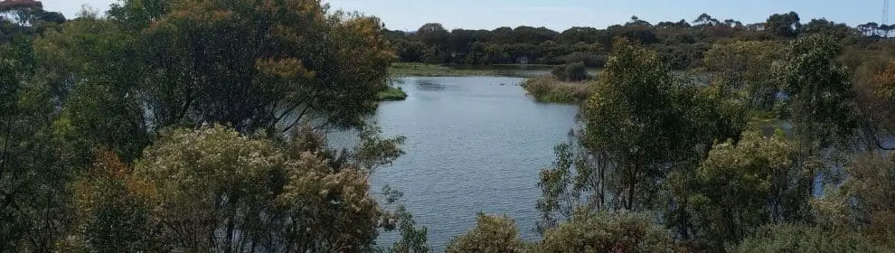 Lake Mcintyre Park