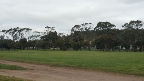 Hastings Cunningham Reserve