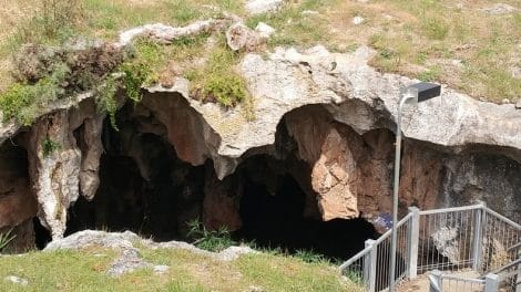 Stick Tomato Cave