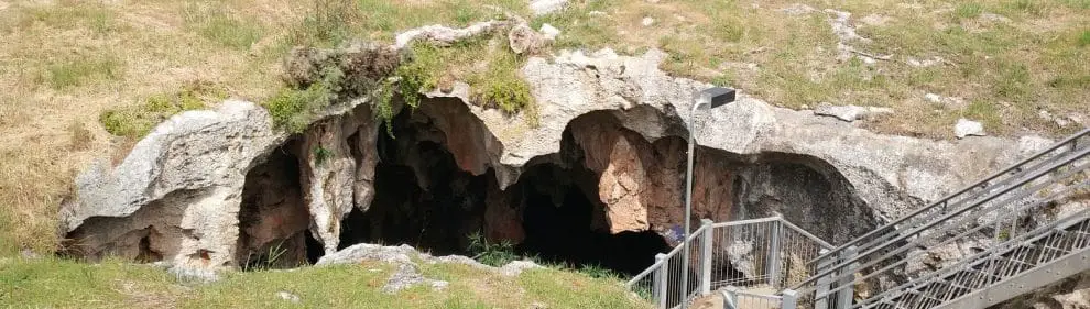 Stick Tomato Cave