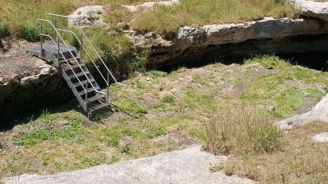 The Green Waterhole