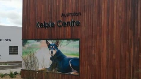 Australian Kelpie Centre