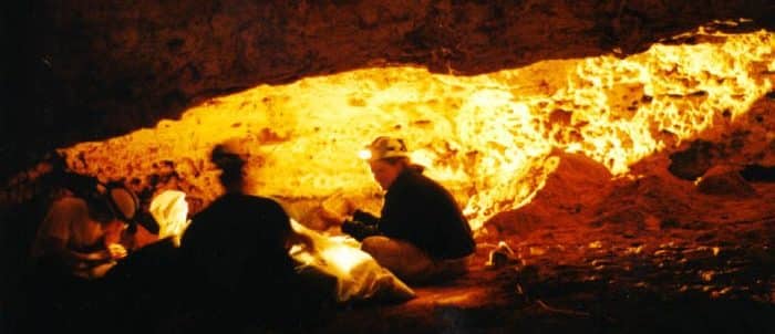 Cathedral Cave