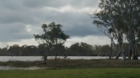 Cockatoo Lake