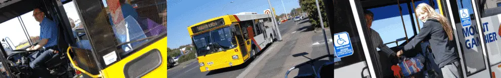 Mount Gambier Buses