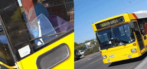 Mount Gambier Buses