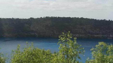 Stephen Henty Lookout