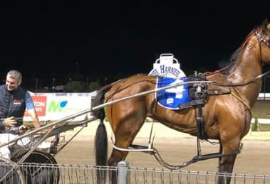 Mount Gambier Pacing Gold Cup
