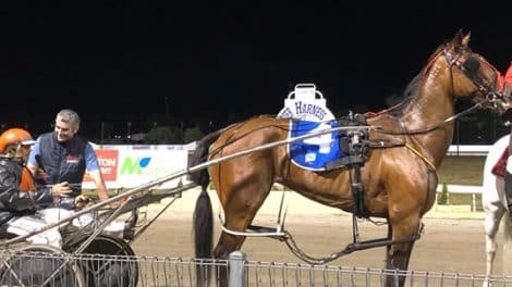 Mount Gambier Pacing Gold Cup