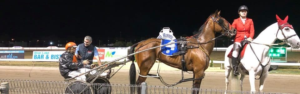 Mount Gambier Pacing Gold Cup